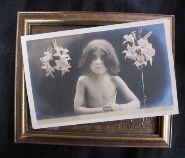 画像2: 白百合のお花と女の子 (未使用) (2)