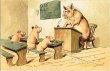 画像1: 豚さんの学校　1899年消印 (1)