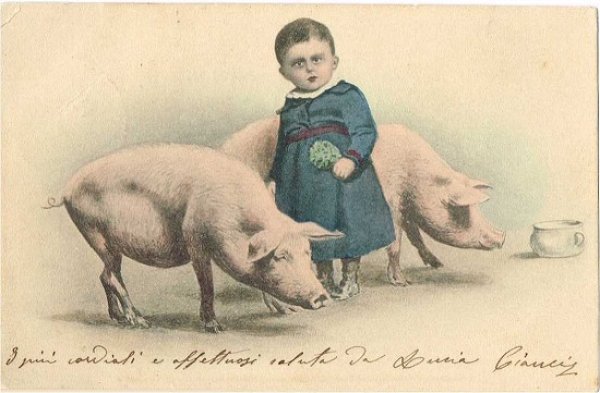 画像1: イタリア　豚さんと子ども　1903年 (1)