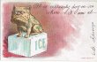 画像1: 氷の上のブルドッグ犬　1908年頃　（未使用） (1)