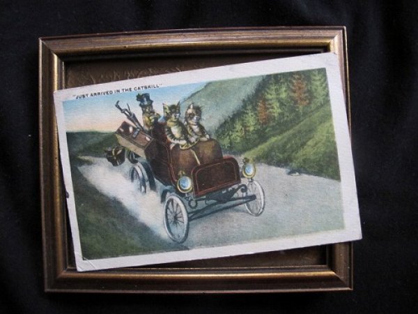画像2: 車を運転する猫 1927年 (2)