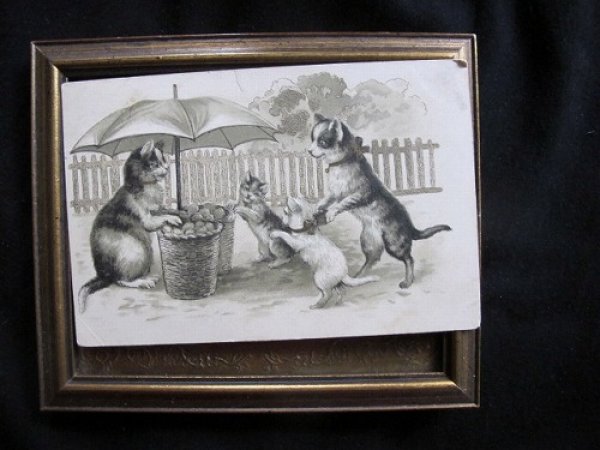 画像2: フランス 猫の屋台 1903年 (2)
