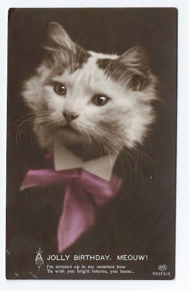 画像1: イギリス　猫の紳士 1910年代 (1)