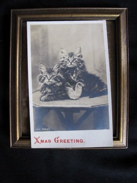 画像2: イギリス 双子の猫 1904年 (2)