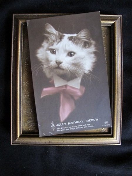 画像2: イギリス 猫の紳士 1910年代 (2)