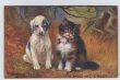画像1: イギリス　パネルカード　森の中の猫と犬　The Babes in the Wood 1913年 (1)