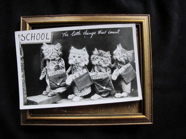 画像2: イギリス 学校へ向かう子猫たち 1930年 (2)