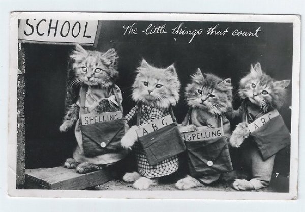 画像1: イギリス　学校へ向かう子猫たち　1930年 (1)