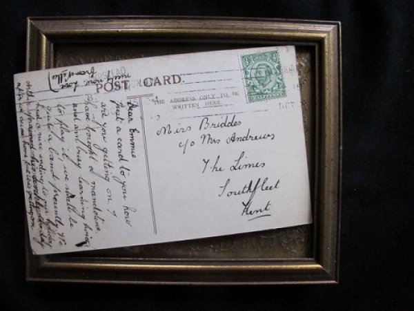 画像3: イギリス これって幽霊?写真を見て驚く子猫 1912年 (3)