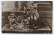 画像1: イギリス　5匹の子猫　1910年頃 (1)