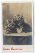 画像1: イギリス　双子の猫　1904年 (1)