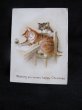 画像2: Greeting card  イギリス　手紙を書く猫　1900年頃 (2)