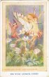 画像1: アネモネのお花と妖精　Margaret Tarrant　1930年代頃 (1)