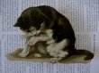 画像1: 大きめダイカット　手を舐める猫　 Helena Maguire 13 x 8cm (1)