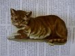 画像1: 大きめダイカット　茶トラの猫　 Helena Maguire 12.5 x 6cm (1)