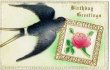 画像1: 薔薇のお花のメッセージを運ぶツバメ 1911年 (1)