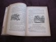 画像3: アンティーク本・洋書★「不思議の国のアリス」　童話集　1929年 大判 (3)
