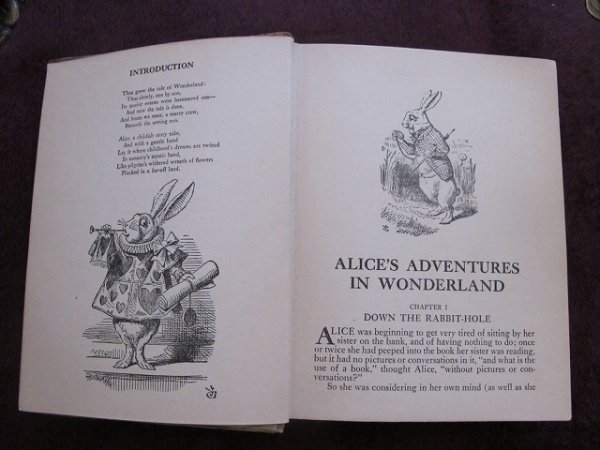 画像3: アンティーク本・洋書★不思議の国のアリス＆鏡の国のアリス　1920年代頃　ブランデージ (3)