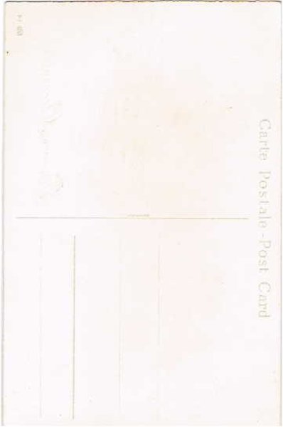 画像2: 薔薇とスミレのお花のバスケットに隠れる子猫　W.Fialkowska 未使用 (2)