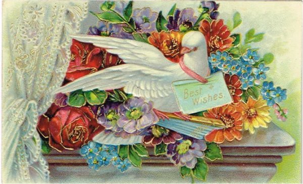画像1: 白鳩とお花　1908年 (1)