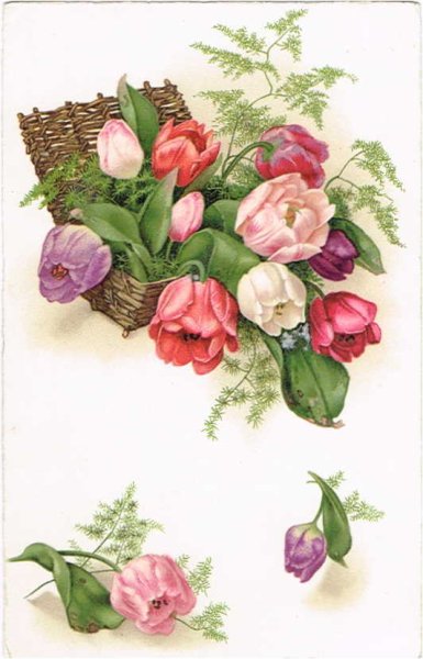 画像1: チューリップのお花　1930年代頃 (1)