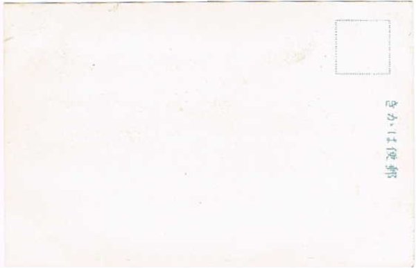 画像2: 古絵葉書　陸軍士官学校創立記念　運動競技　応援団 (2)