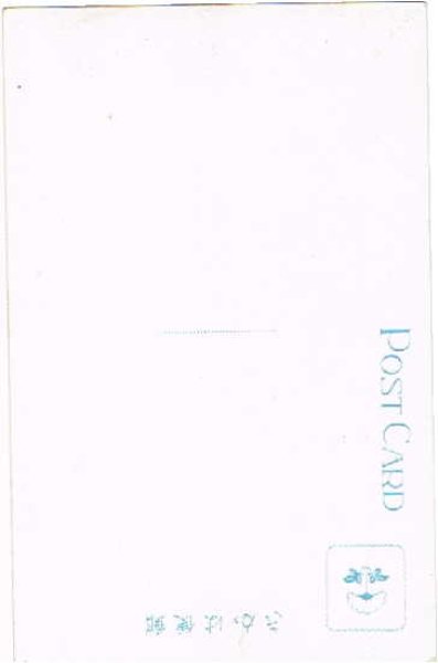 画像2: 古絵葉書  名古屋市東山動物園　植物園 (2)