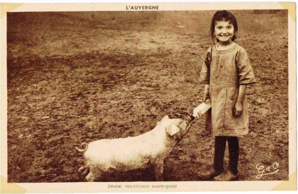 画像1: フランス　子豚にミルクをあげる女の子　1910年頃　未使用 (1)