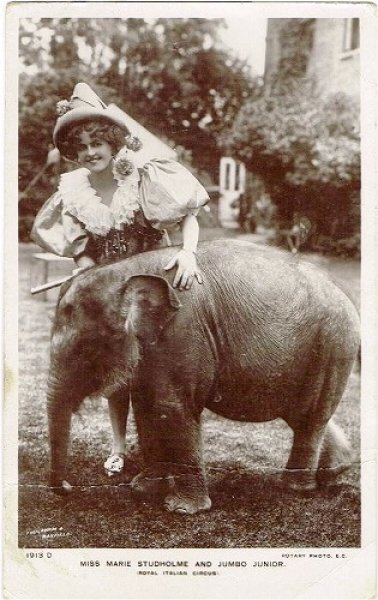 画像1: イギリス女優　Marie Studholme 小象 1905年 (1)