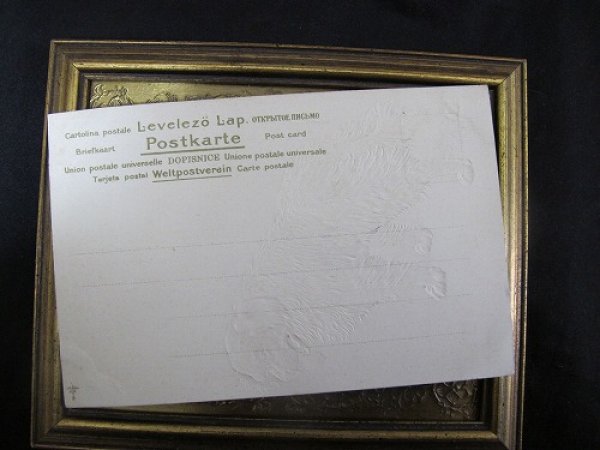 画像3: Postcard 犬 セントバーナード系 1900年頃 未使用 (3)