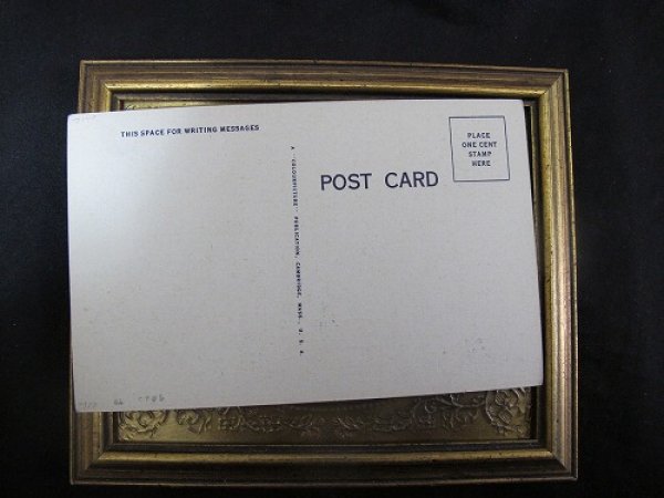 画像3: Postcard  大きな骨を持つスコティッシュテリア犬 未使用 (3)