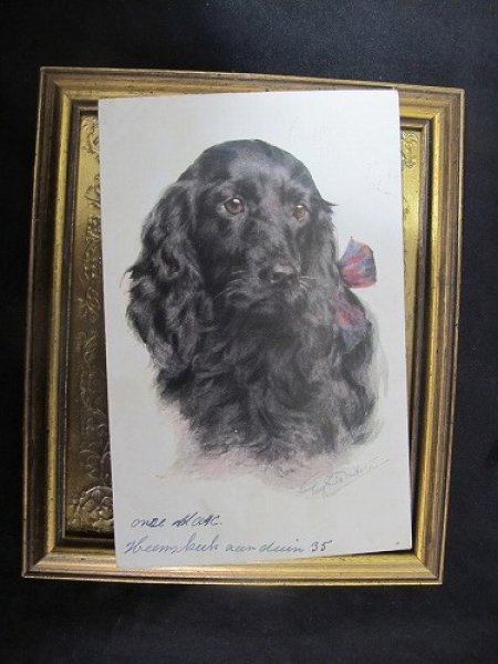 画像2: Postcard 黒いコッカースパニエル犬 1912年 (2)