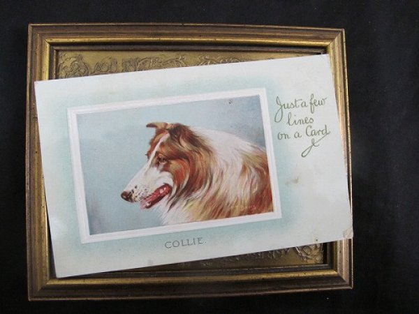 画像2: Postcard  コリー犬 1912年 (2)