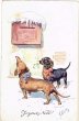 画像1: ポストに手紙を投函するダックスフンド犬　スイス1911年 (1)