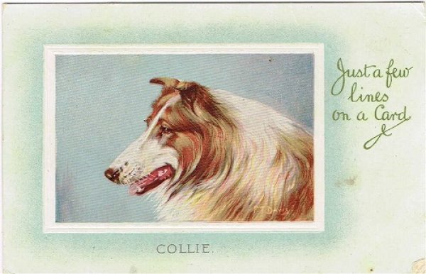 画像1: Postcard 　コリー犬　1912年 (1)