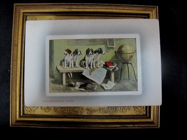 画像2: Postcard   地理の授業 4匹のスパニエル犬 未使用 (2)