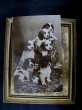 画像2: Postcard  　6匹のスパニエル犬の子犬　1915年 (2)