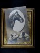 画像2: Postcard   馬と犬　1913年 (2)