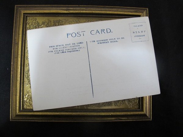 画像3: Postcard  カーリーコーテッド・レトリーバー 1910年代頃 未使用 (3)