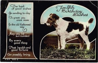 Snowdrop Postcards アンティークポストカード専門店