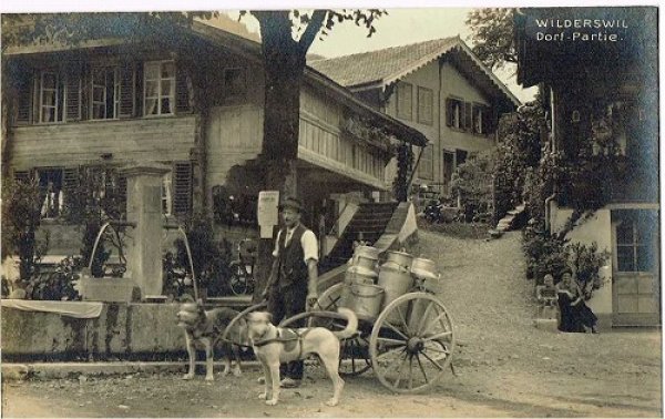 画像1: Postcard 　スイス　ヴィルダースヴィル　ミルク運びの犬車　WILDERSWILL　未使用 (1)