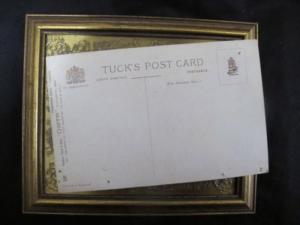 画像3: Postcard  イングリッシュ・スプリンガー・スパニエル犬 未使用 1910年代頃 (3)