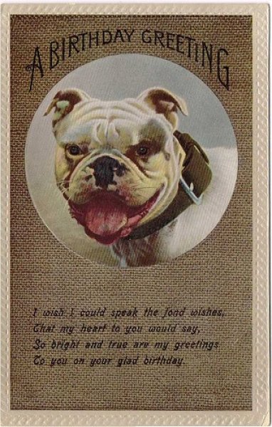 画像1: Postcard 　イングリッシュブルドッグ犬　1910年 (1)
