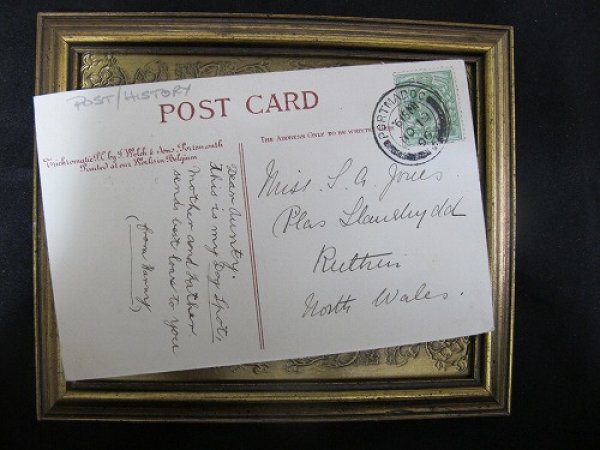画像3: Postcard   ジャックラッセルテリア犬 1906年 (3)