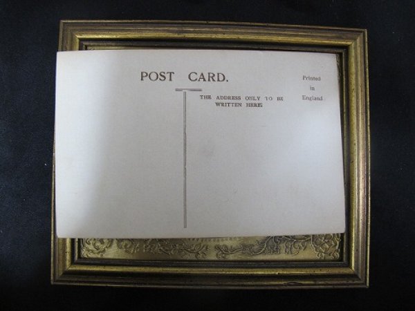 画像3: Postcard   ミニチュアホースと大型犬 1910年代　未使用 (3)