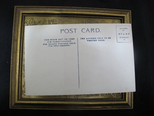 画像3: Postcard  セントバーナード犬 1910年代頃 未使用 (3)