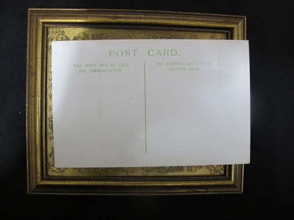 画像3: Postcard   ラフコーテッド コリー犬 1910年代頃 未使用 (3)