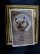 画像2: Postcard 　イングリッシュブルドッグ犬　1910年 (2)
