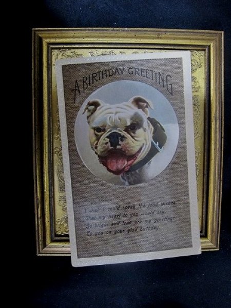 画像2: Postcard  イングリッシュブルドッグ犬 1910年 (2)