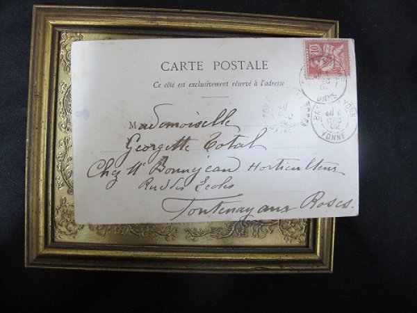 画像3: Postcard  芸をする5匹の犬たち　フランス1902年 (3)